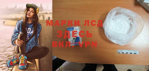 индика Богданович