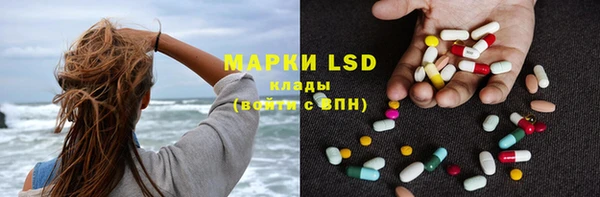 spice Богородицк