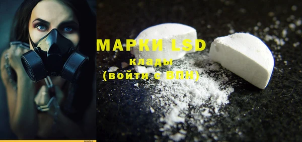 spice Богородицк