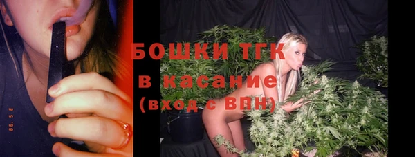 spice Богородицк