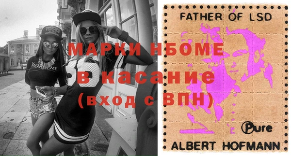 индика Богданович