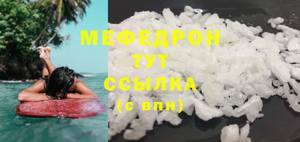 spice Богородицк