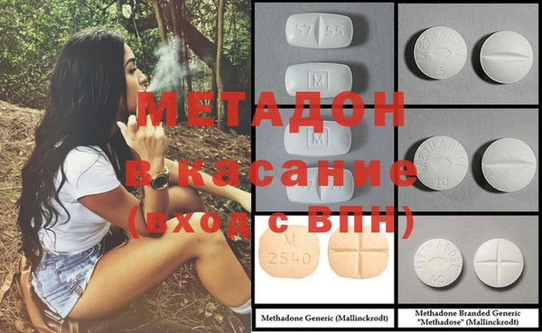 индика Богданович