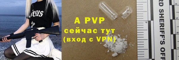 индика Богданович