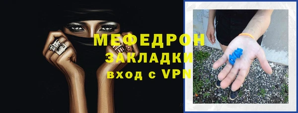 spice Богородицк