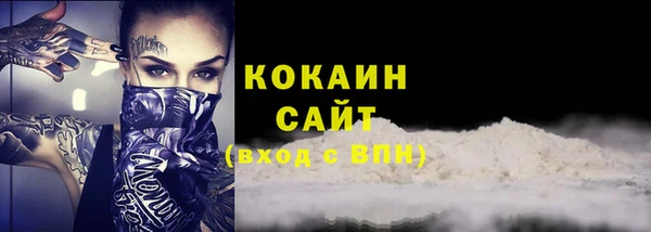 индика Богданович