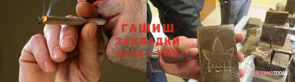 индика Богданович