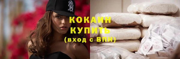 spice Богородицк