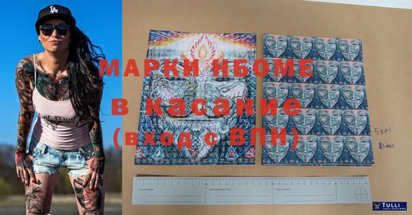 spice Богородицк