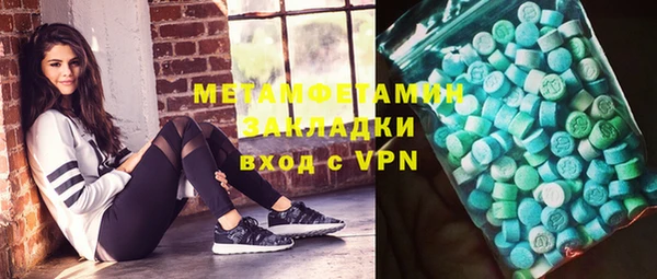 индика Богданович