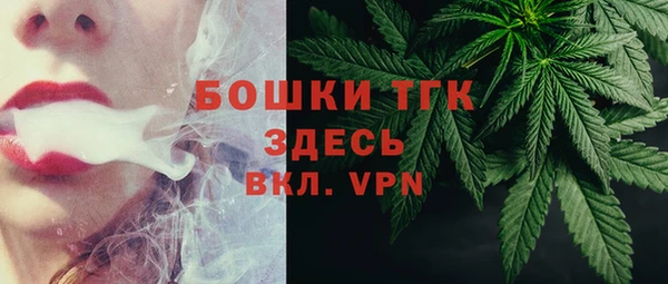индика Богданович