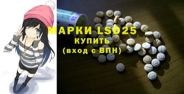 spice Богородицк
