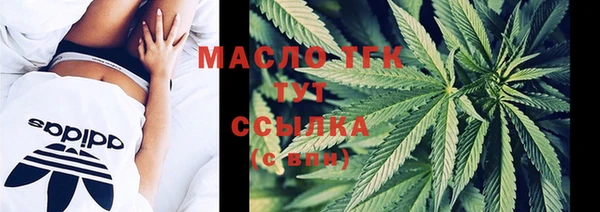 индика Богданович