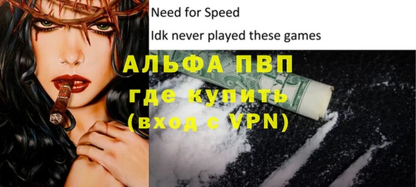 индика Богданович