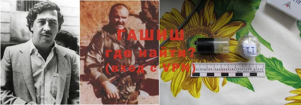spice Богородицк