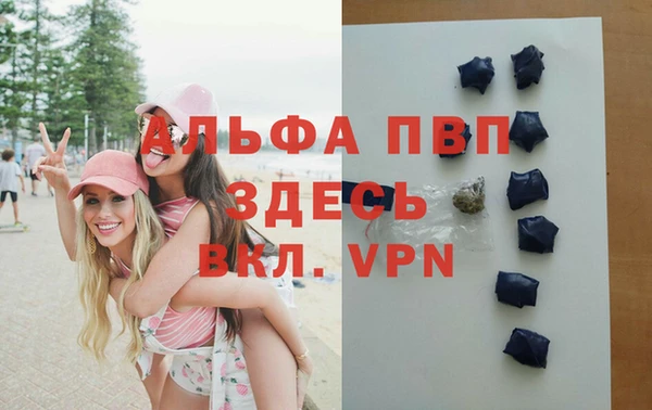 spice Богородицк