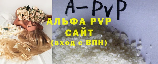 индика Богданович