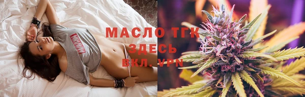 spice Богородицк