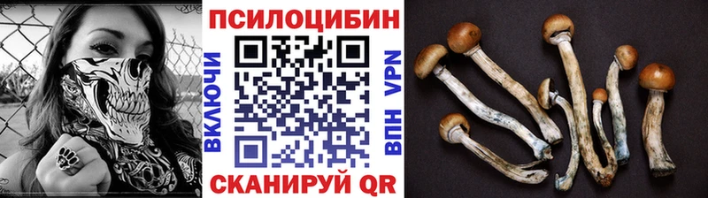 Псилоцибиновые грибы GOLDEN TEACHER  Купить закладки  Кореновск 